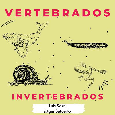Vida salvaje Vertebrados e invertebrados