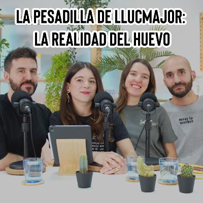 La pesadilla de Llucmajor: La realidad del huevo