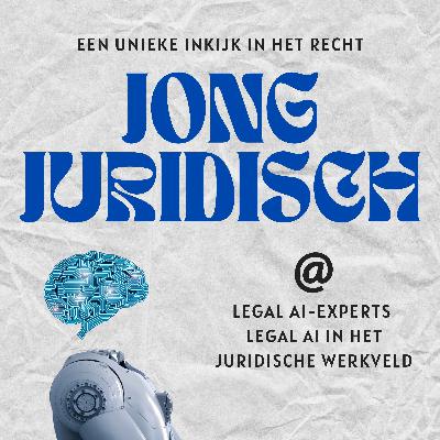 AI in de juridische praktijk anno 2025 - Katja van Kranenburg, Robert Sanders, Floris de Wit en Daan Kolkman