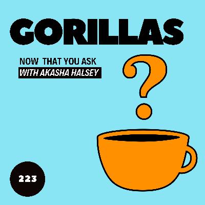 223. Gorillas 223. Gorillas