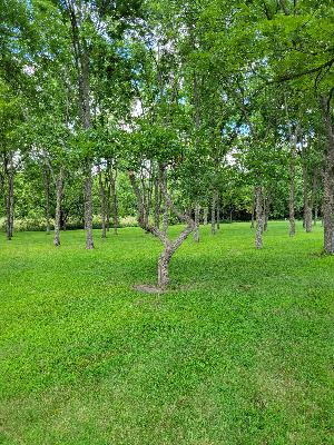 Iggy's Prison Shower Early Russia Hoax Stuff from November of 2021. Very entertaining.