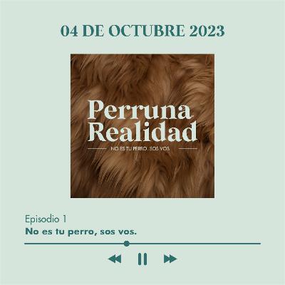 Perruna Realidad #1: No es tu perro, sos vos