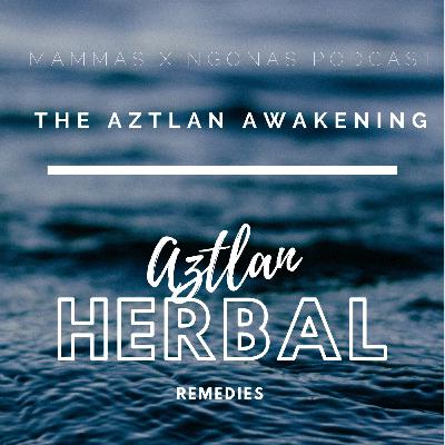 THE AZTLAN AWAKENING