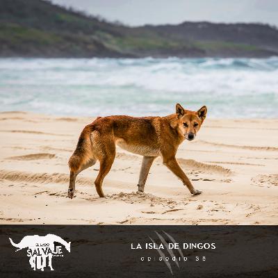 La Isla De Dingos (con Mika Elis)