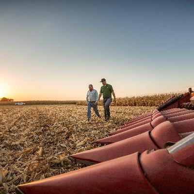 Harvest Tips to Get the Most from Your Field Data (Season 1, Episode 8)