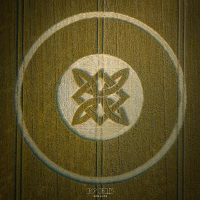 168X Sädescirklar Media & Dr. Phil