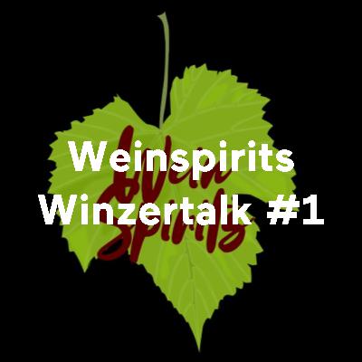 Winzertalk #1 - Armin Tement