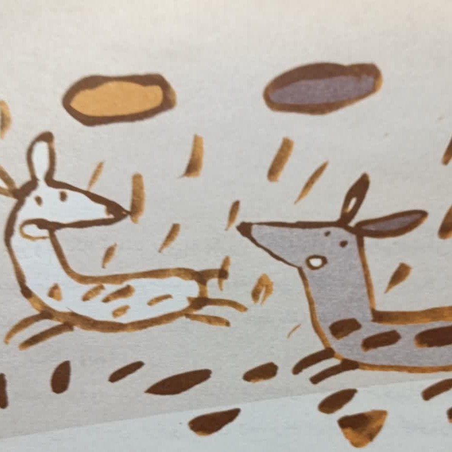 غزال و سوکا