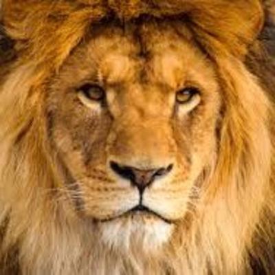 El León y el Ratón