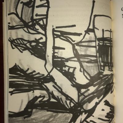 Leitura do poema "O nãotô-madose", de Leonardo Fróes por Fernanda Marra.