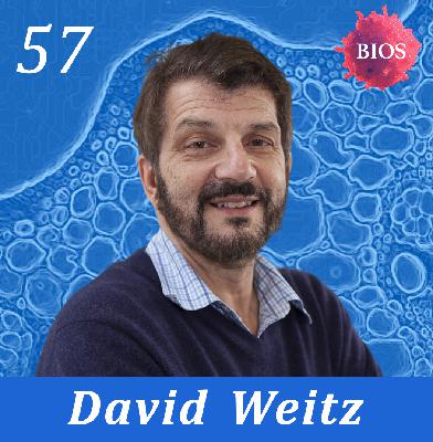 57. Future of Microfluidics w/ David Weitz - Professor @ Harvard / Core Faculty @ Wyss Institute