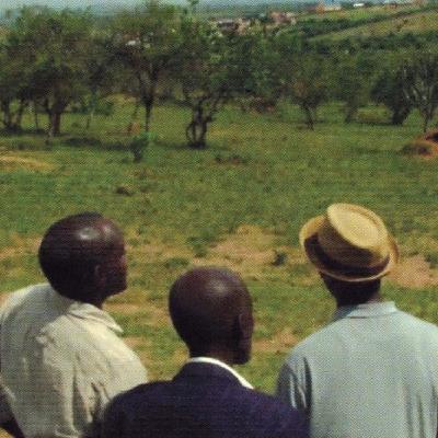 Mundofonías 2025 #77: Belleza insólita / Singular beauty