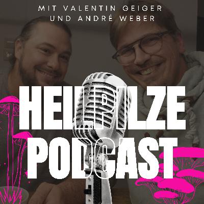 Die Welt der Heilpilze – Ling Zhi und seine Wirkung Die Welt der Heilpilze – Ling Zhi und seine Wirkung