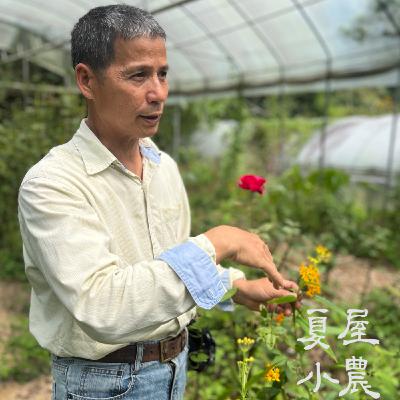 S1E9 玫瑰,洋甘菊,紫錐花園,我在台版普羅旺斯 #晉福田有機香料農莊 許晉田 S1E9 玫瑰,洋甘菊,紫錐花園,我在台版普羅旺斯 #晉福田有機香料農莊 許晉田