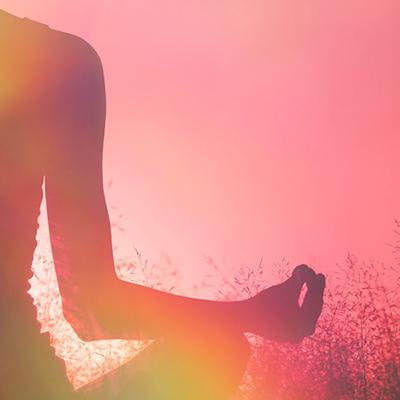 10 vedic mantras of santan dharm