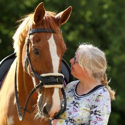 Scentwork for horses