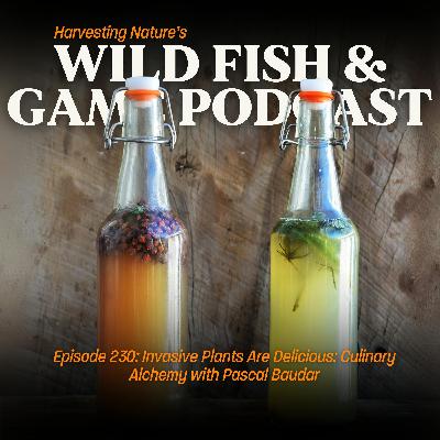 Episode 230: Invasive Plants Are Delicious: Culinary Alchemy with Pascal Baudar