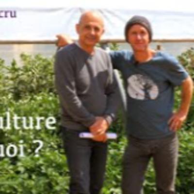 LA FERME URBAINE, LA PERMACULTURE, EXPLICATIONS SYLVAIN LEROUX, MARAICHER [2022]
