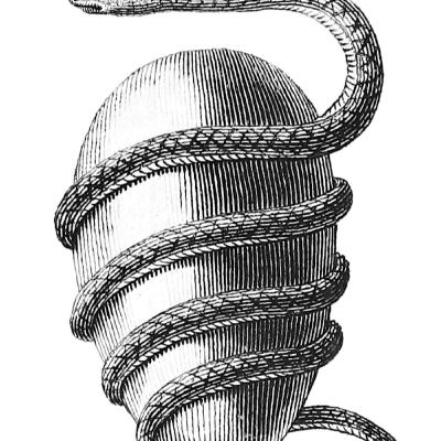 Vol. XIV: Eggs [Preview]