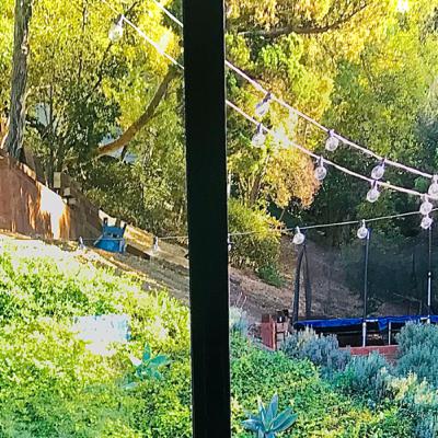 Minecraft tips with The Pug (Harper) Minecraft tips with The Pug (Harper)