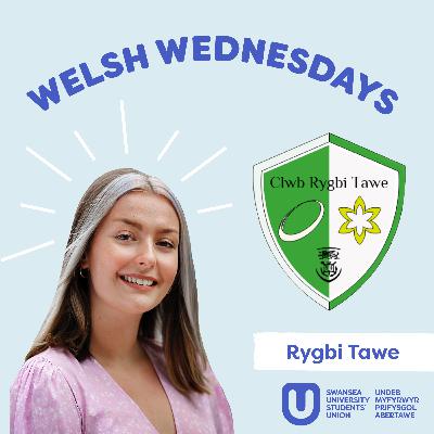 Rygbi Tawe