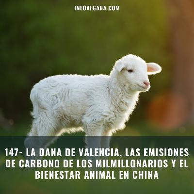 147- LA DANA DE VALENCIA, LAS EMISIONES DE CARBONO DE LOS MILMILLONARIOS Y EL BIENESTAR ANIMAL EN CHINA | Infovegana 147- LA DANA DE VALENCIA, LAS EMISIONES DE CARBONO DE LOS MILMILLONARIOS Y EL BIENESTAR ANIMAL EN CHINA | Infovegana