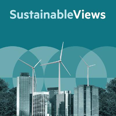 Sustainable Views: Phasing out fossil fuels in a volatile world