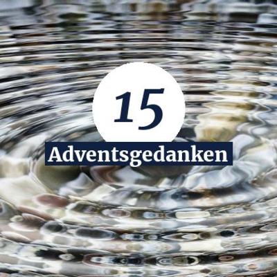 Tag 15 - Bewegung