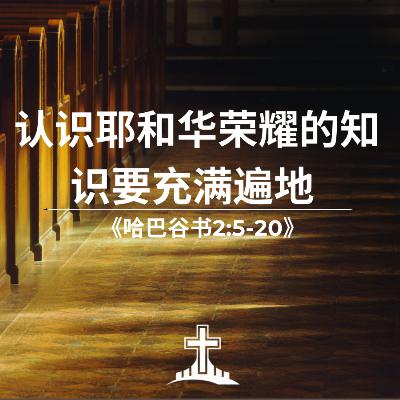 认识耶和华荣耀的知识要充满遍地 《哈巴谷书2:5-20》