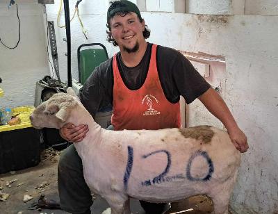 481 Will Kleinert Shear Genius