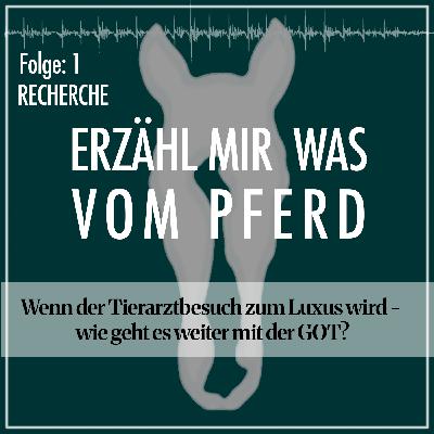 #1 Wenn der Tierarztbesuch Luxus wird – wie geht es weiter mit der neuen GOT?