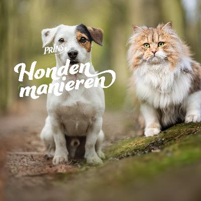 Afl 26. Hond & Kat: Samenleven zonder Gedoe