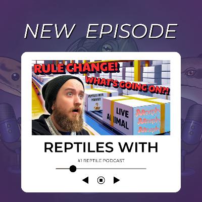 Morph Market Shipping Rule Change ACCUSATIONS?! Is There A Conspiracy? | Reptiles With Podcast