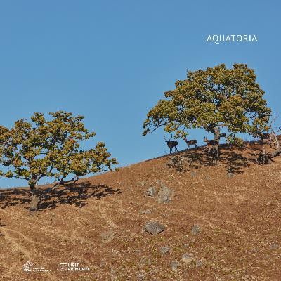 ГЛАВА ТРЕТЬЯ. "ЭКОПАРК ЛЕОПАРДЫ НА ГАМОВА"