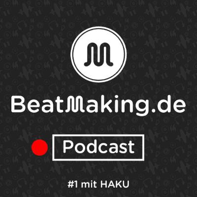 Lieber mehr Zeit oder mehr Geld für Musik? (feat. HAKU)