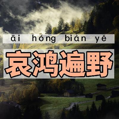 哀鸿遍野｜一一学语