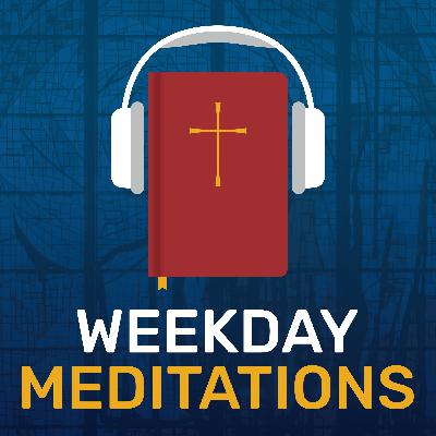 #736 | DEC. 19 | Light of the World