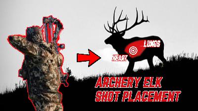 UNTOLD Stories of My BIGGEST Bull ELK