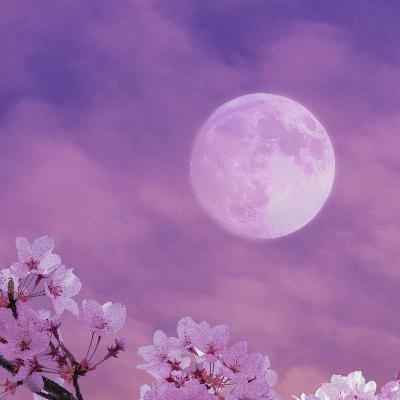 Flower Moon ~ Healing Relaxation Music & Peaceful Piano For Restorative Sleep