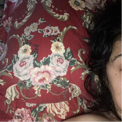 Birds outside my window, in the USA