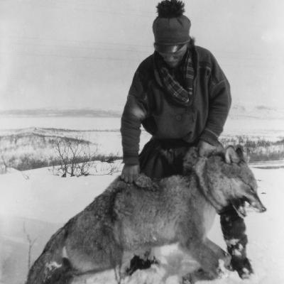 7. Att dräpa vargar på skidor - Johan Turi och Hilmer Zetterberg