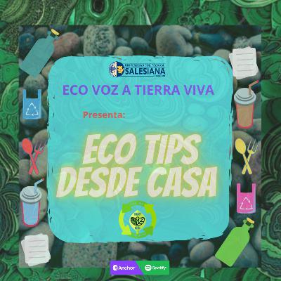 Eco Tips desde casa