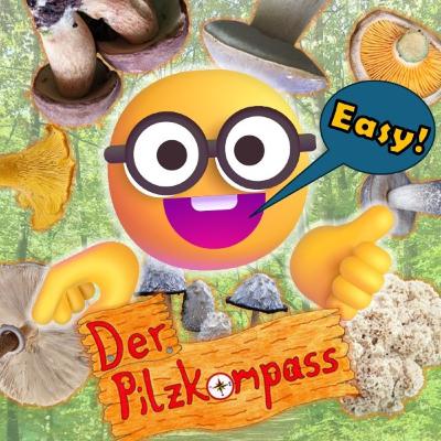 32 Pilze sammeln leicht gemacht: die 8 einfachsten Speisepilze im Überblick 🍄‍🟫🍴