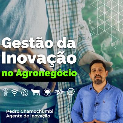2020, o ano da transformação digital