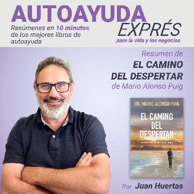 25. Resumen de EL CAMINO DEL DESPERTAR de Mario Alonso Puig