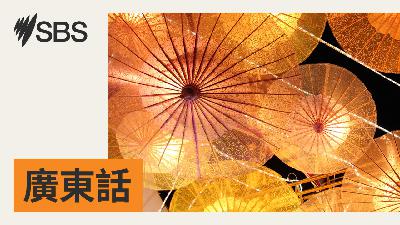 SBS廣東話新聞（2025 年 10 月 30 日）