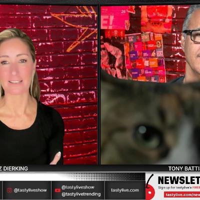 Market Measures - November 24, 2025 - Hedging Analysis: The Hidden Costs of Married Put Protection Strategies Market Measures - November 24, 2025 - Hedging Analysis: The Hidden Costs of Married Put Protection Strategies