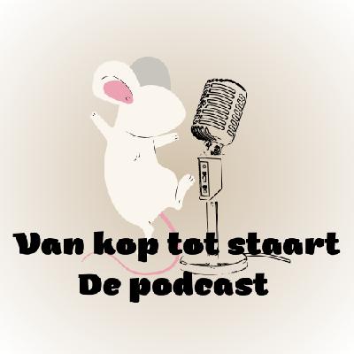 3 | Bjorn Teamleider of lid van de Interventie Unit