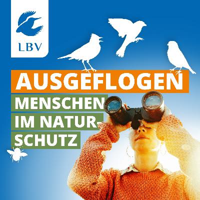 Best of Ausgeflogen