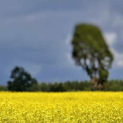 Nos preocupamos mucho por la salud del cuerpo ¿cuánto nos preocupa la del alma?
